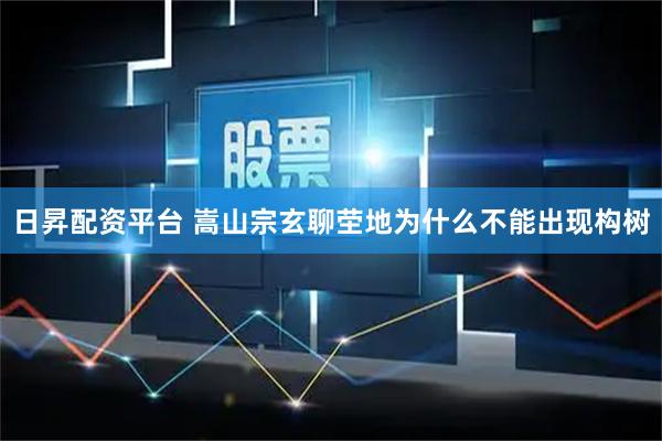 日昇配资平台 嵩山宗玄聊茔地为什么不能出现构树