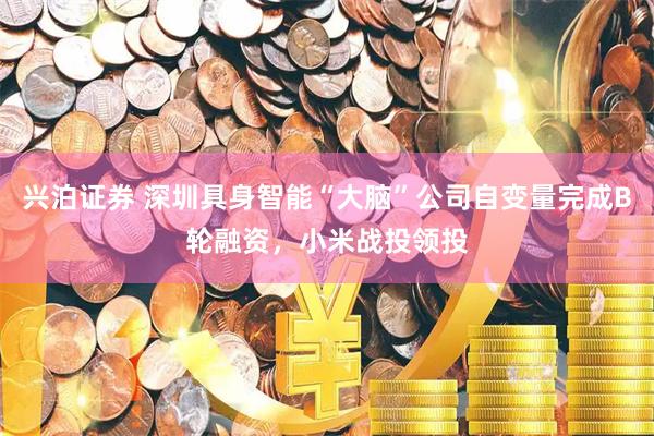 兴泊证券 深圳具身智能“大脑”公司自变量完成B轮融资，小米战投领投