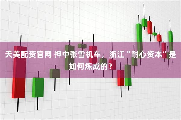 天美配资官网 押中张雪机车，浙江“耐心资本”是如何炼成的？
